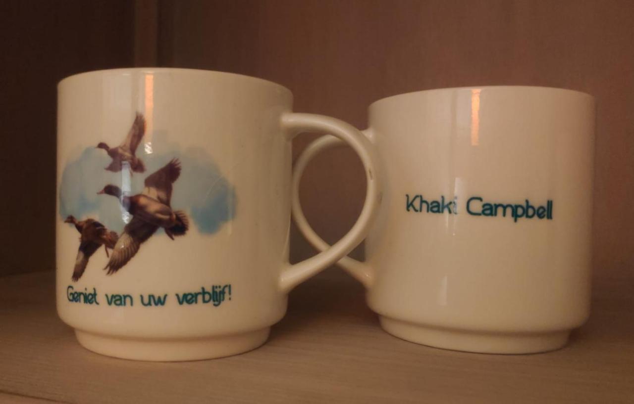 Khaki Campbell Villa Ермело Екстериор снимка